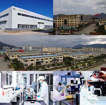 2K Orange Car Paint Top Coat Fast Drying Speed And Improved Efficiency