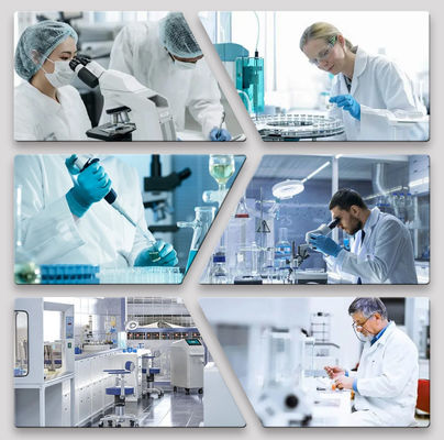 15 Years Of Experience With Car Paint Basecoat For Automotive Repair Masking Tape