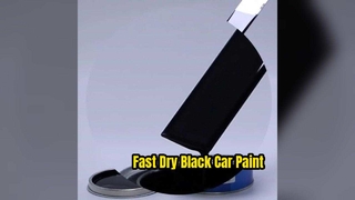 Special Black Car Paint Fast Dry Gloss