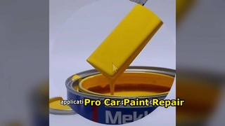 2K Acrylic Car Paint Repair Pro Finish